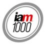 00_logo_iam